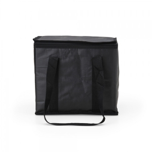 2697 - Bolsa Térmica 17 Litros