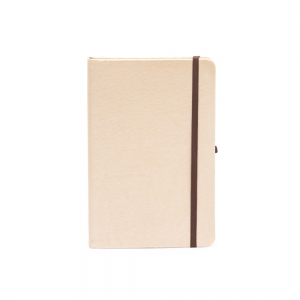 15124P - Caderneta Couro Sintético 21 x 14 com Pauta